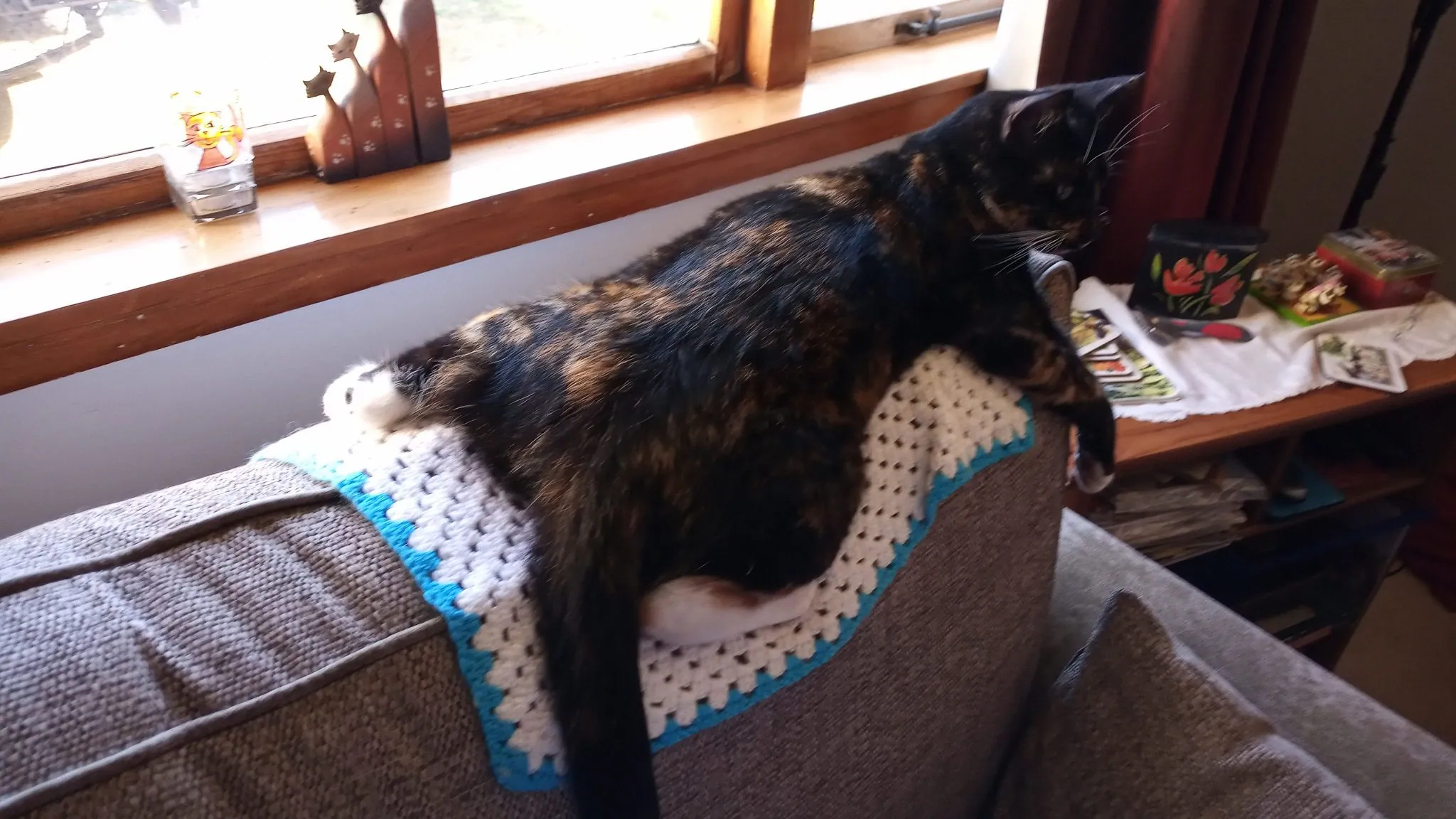 B05.1 too hot for pussy cats (1)